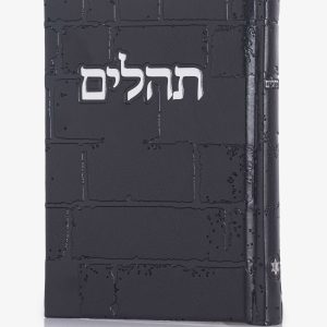 תהילים